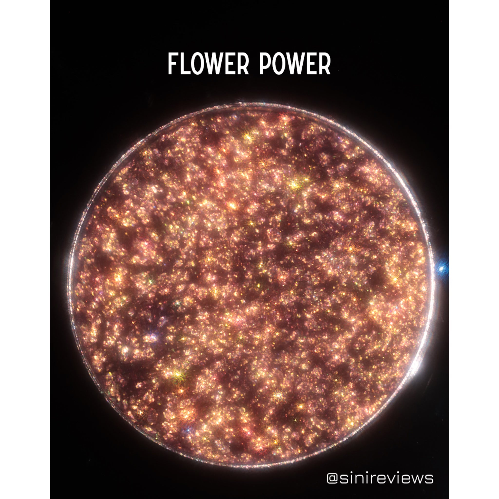 Flower Power Full Moon Pressed Eyeshadow