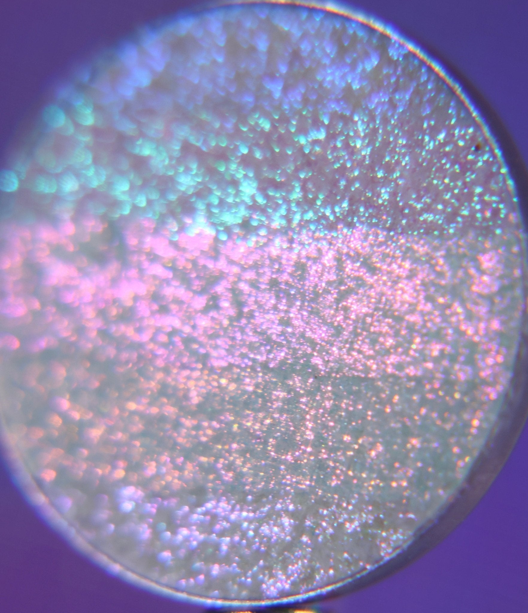 Reignbow Starseed Highlighter - Ensley Reign Cosmetics