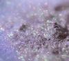 Wildflower Fairy Multichrome Moon Dust