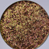 Load image into Gallery viewer, PREORDER Cymbidium Orchid Enchanted Garden Duo Chrome Pressed Eyeshadow