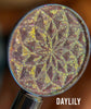 Load image into Gallery viewer, Daylily Special Effects Flower Pressed Multichrome Eyeshadow