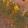 Marigold Fairy Enchanted Garden Multichrome Moon Dust
